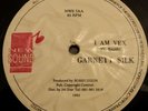 Garnett Silk I Am Vex Killer Digi 12