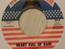 ORIGINAL GARAGE PUNKER 45 - THE SIXPENCE - FIRST PLANE HOME / HEART FULL OF RAIN