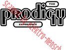 Prodigy - Experience (2x12