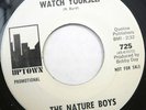 Northern Soul THE NATURE BOYS Watch Yourself & Do The Temptation 45 PROMO Uptown