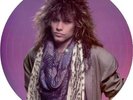Bon Jovi Slippery When Wet picture disc LP vinyl album record USA 8308221M1