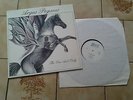 ARGUS PEGASUS - The one and only - Private Hard Rock Prog Psych Kraut Rock