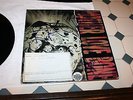 Mother Love Bone - Apple vinyl record LP