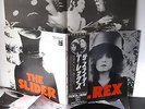 T.Rex  Slider   Marc Bolan    Poster   Japan