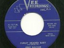 Rockabilly 45 - Jerry Sullivan Vee 100 