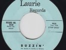 KATHY ZEE Buzzin' 45 on Laurie rockabilly teen HEAR
