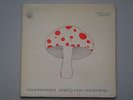 MUSHROOM : Early One Morning PSYCH PROG FOLK POKORA ORIGINAL HALPX 116