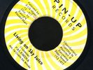 1238 PALEMINA-LIVING ON SKY JUICE-CEDRIC IM BROOKS-PIN UP 1977-REGGAE 45 7