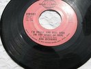 ADA RICHARDS I'M DRUNK AND REAL HIGH Detroit Gospel/ Funk 45,(VG)