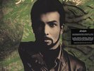 Damon - Song Of A Gypsy Vinyl US LP