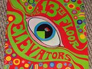 1968 Thirteenth Floor Elevators LP The Psychedelic Sounds Stereo