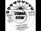 james fountain (peachtree) - my hair is nappy - nm