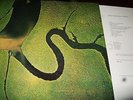 DEAD CAN DANCE : THE SERPENTS EGG LP 1988 4AD CONTE 124 ITALY