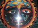 40oz To Freedom Sublime Picture Disc Orange 311 no doubt vinyl LP