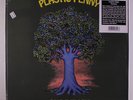 PLASTIC PENNY: Currency LP (Spain, 180 gram pressing) Rock & Pop