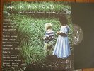 In A Cloud - San Francisco psych comp vinyl LP - Ty Segall - Thee Oh Sees VINYL