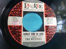 Rare Doo Wop 45 : The Mystics   Darling I Know Now   Laurie 3104 Promo