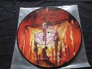 Desaster ( Hellfire`s Dominion) Picture LP Limitiert auf 500 Stück
