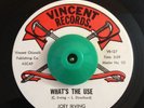 Rare Funk Soul 45 Joey Irving What's The Use on Vincent M- HEAR