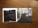 MORE THAN LIFE - BRAVE ENOUGH TO FAIL 1ST PRESS /100 WHITE SPLATTER, BASEMENT