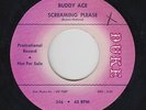 Northern Soul R&B 45 - Buddy Ace - Screaming Please - Duke - mp3 - rare