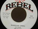 Surf Garage Fuzz 45 | THE SHADES | *HEAR* | on Rebel | UNKNOWN | Jump Man Jump