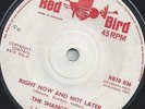 SHANGRI-LAS - RIGHT NOW AND NOT LATER - THE TRAIN FROM KANSAS CITY