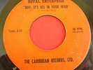 Garage-Psych-Fuzz 45 ROYAL ENTERPRISE Boy, It's All In Your Head CARIBBEAN VG