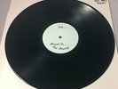TEST PRESS : THIS WILL DESTROY YOU Young Mountain LP vinyl mogwai mono sigur ros