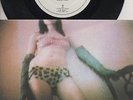 P J HARVEY   Rare 2001 UK Only 7