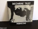 SACCHARINE TRUST Paganicons Vinyl LP VERY RARE LP