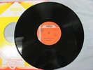 ECHO MINOTT - IN LOVE WITH JAMAICA 12 INCH SINGLE ON WITTY MM 142  IN SHRINK