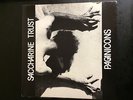 SACCHARINE TRUST Paganicons Vinyl LP RARE