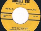 RARE DOO WOP SOUL TORNADOS Love in your life BUMBLE BEE