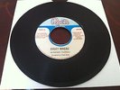 MIGHTY FANTELS - EVERY WHERE / VERSION - ROOTS FROM THE YARD - EXCELLENT COND.