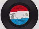 THE MONTANAS - I'm Gonna Change/A Step In the Right Direction