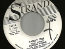TEEN JUNGLE ROCK NOVELTY--GORDON TERRY  -HEAR BOTH - 1960- PROMO ABC