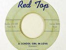 Doo Wop 45   Sharmeers   A School Girl In Love   Red Top   mp3