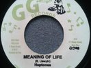 MEANING OF LIFE-Leroy Sibbles & the HEPTONES?Rare 70's RubADubVoc-7