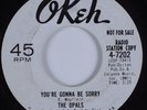 Northern Soul 45 OPALS You're Gonna Be Sorry OKEH HEAR