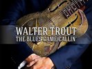 WALTER TROUT The Blues Came Callin' 2x 180gm Vinyl LP 2014 NEW & SEALED