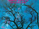 AMON DUUL II-Phallus dei-'69 freak-out psych KRAUT-NEW LP