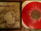 Dinosaur Jr 