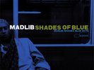 Madlib Shades of Blue Vinyl LP New (2 Discs)