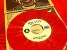 Melvins 'A Tribute to David Bowie' 7