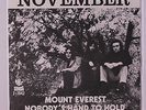 NOVEMBER: Nobody's Hand To Hold / Mount Everest 45 (Sweden, PS, centre intact)