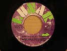 BOBBY KING & RELATION **Mama Told Me** DON'T GIVE UP Soul Funk 45 on LUNAR 201