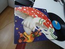 WITTHÜSER & WESTRUPP DER JESUS PILZ 1971 KRAUTROCK MUSIC (BRÖSEL)
