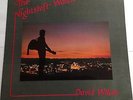 David Wilcox - The Nightshift Watchman RARE Private Label Song of the Woods LP