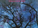 Phallus Dei - Amon Duul Ii (2014, Vinyl NEW)